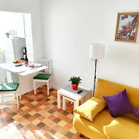 Estudio En * 阿尔啼